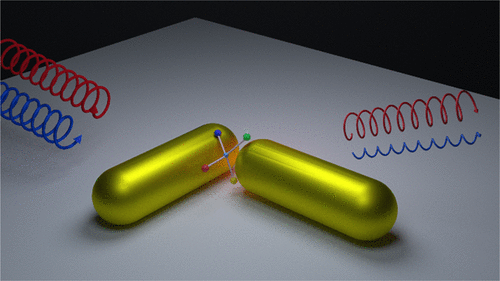 2021-ACS Nano-TOC.gif