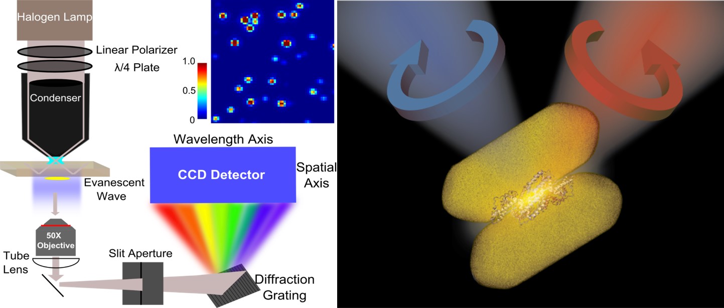 Chirality.jpg